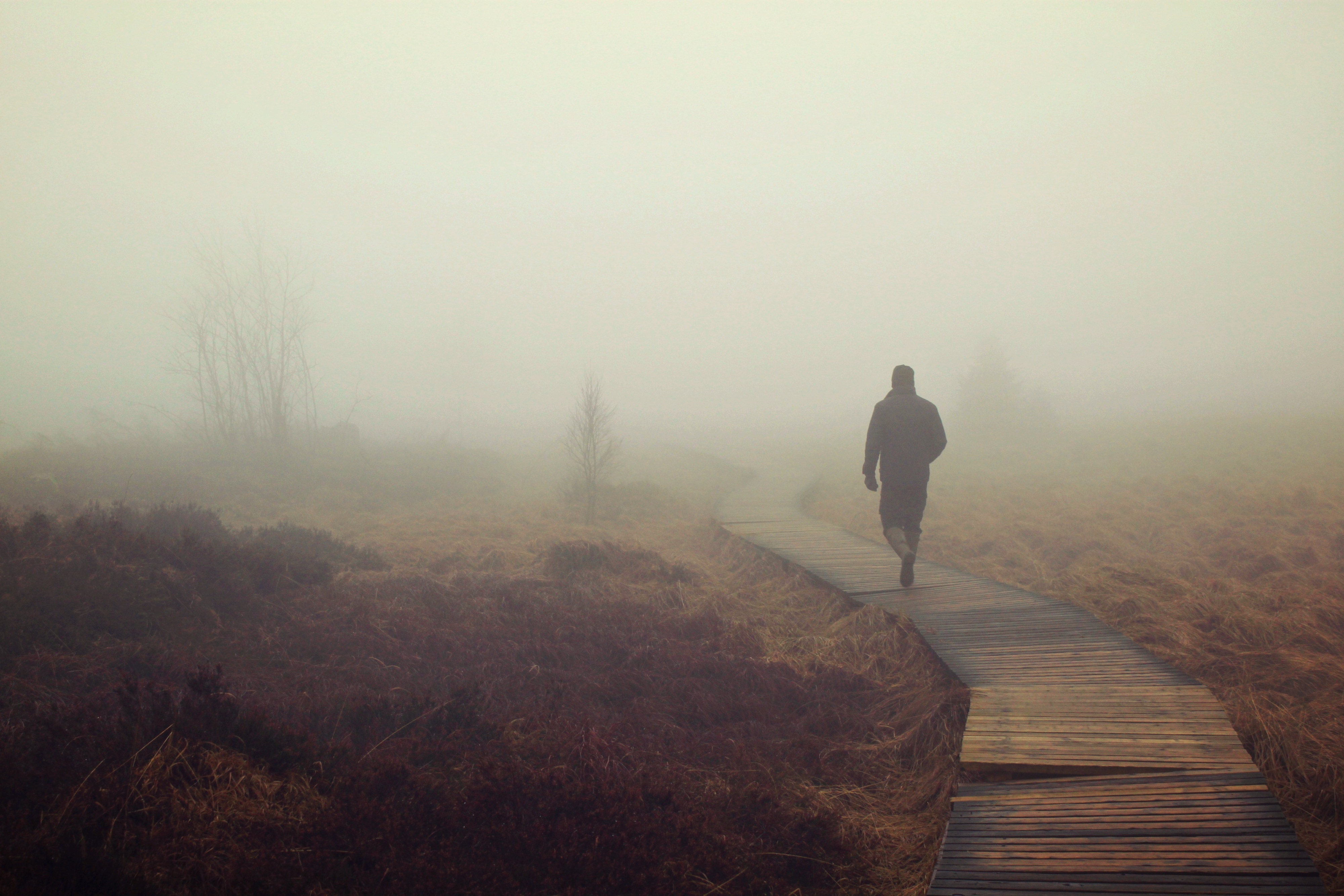 Person walking through fog on trail